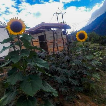 Hostal Las Valkirias Matanza Exteriér fotografie
