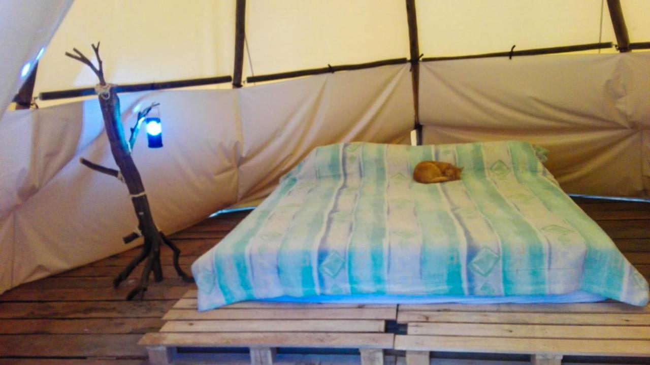Hostal Las Valkirias Matanza Exteriér fotografie